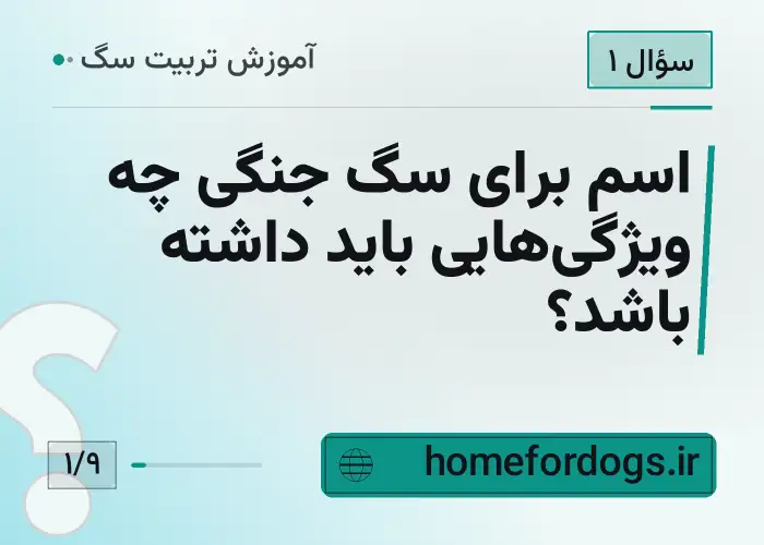 اسم برای سگ جنگی چه ویژگی‌هایی باید داشته باشد؟