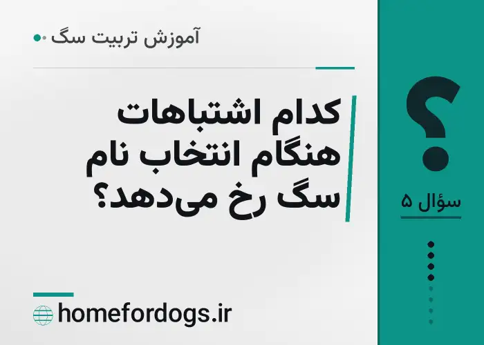 کدام اشتباهات هنگام انتخاب نام سگ رخ می‌دهد؟