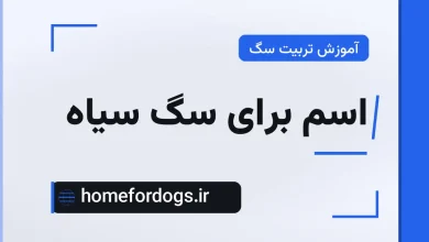 اسم برای سگ سیاه