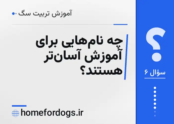 چه نام‌هایی برای آموزش آسان‌تر هستند؟