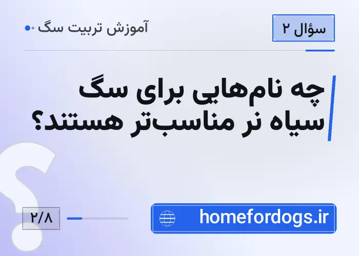 چه نام‌هایی برای سگ سیاه نر مناسب‌تر هستند؟