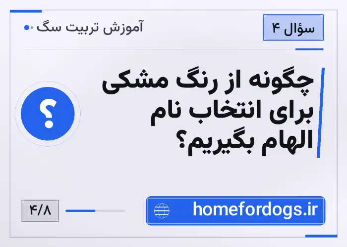 چگونه از رنگ مشکی برای انتخاب نام الهام بگیریم؟