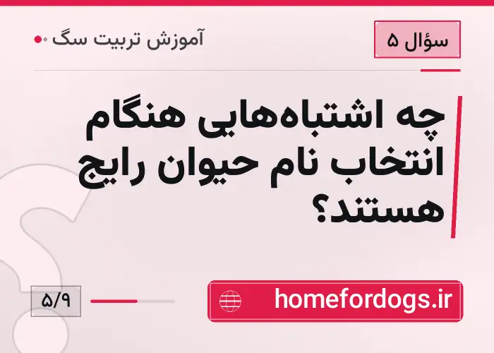 چه اشتباه‌هایی هنگام انتخاب نام حیوان رایج هستند؟