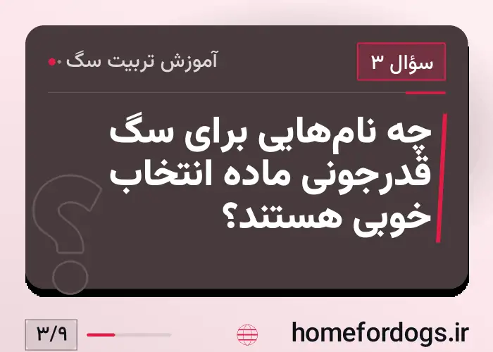 چه نام‌هایی برای سگ قدرجونی ماده انتخاب خوبی هستند؟