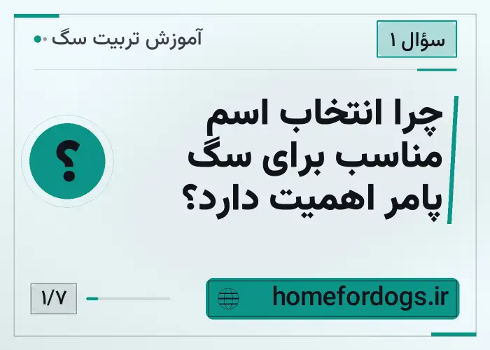چرا انتخاب اسم مناسب برای سگ پامر اهمیت دارد؟