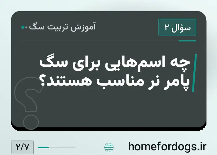 چه اسم‌هایی برای سگ پامر نر مناسب هستند؟
