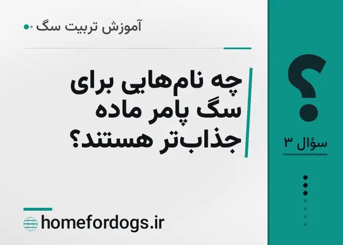 چه نام‌هایی برای سگ پامر ماده جذاب‌تر هستند؟