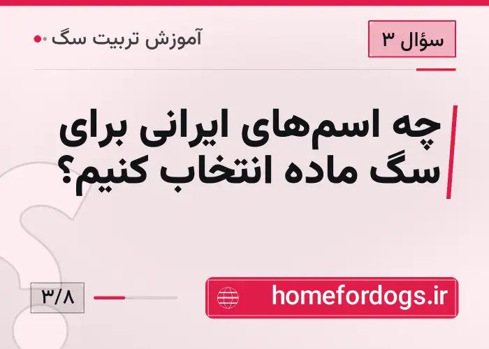چه اسم‌های ایرانی برای سگ ماده انتخاب کنیم؟