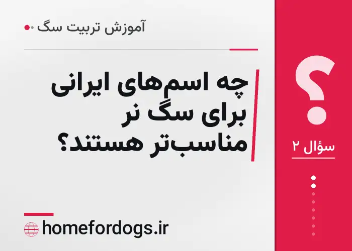 چه اسم‌های ایرانی برای سگ نر مناسب‌تر هستند؟