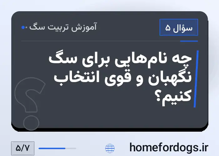 چه نام‌هایی برای سگ نگهبان و قوی انتخاب کنیم؟