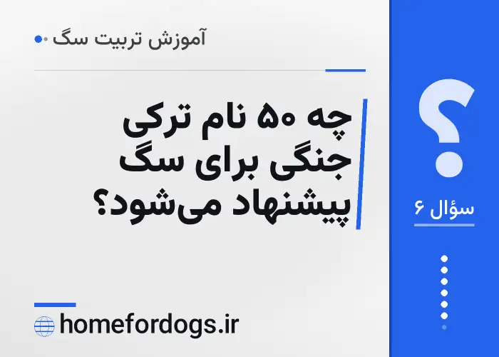 چه ۵۰ نام ترکی جنگی برای سگ پیشنهاد می‌شود؟