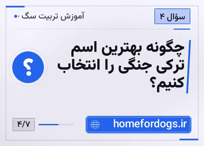 چگونه بهترین اسم ترکی جنگی را انتخاب کنیم؟