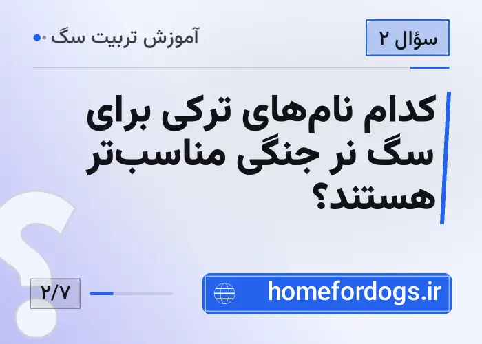 کدام نام‌های ترکی برای سگ نر جنگی مناسب‌تر هستند؟