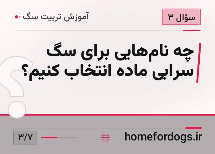 چه نام‌هایی برای سگ سرابی ماده انتخاب کنیم؟