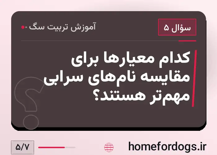 کدام معیارها برای مقایسه نام‌های سرابی مهم‌تر هستند؟