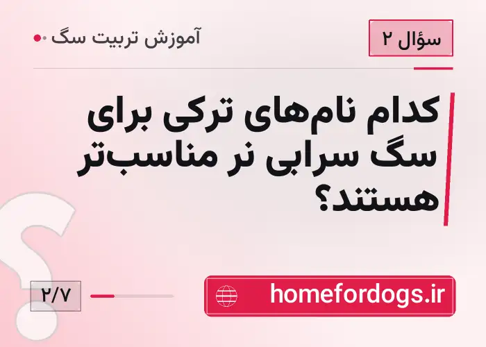 کدام نام‌های ترکی برای سگ سرابی نر مناسب‌تر هستند؟