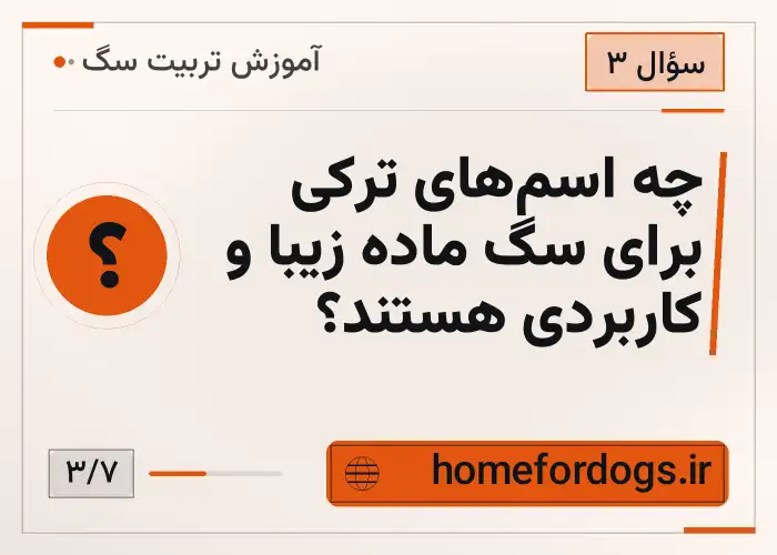 چه اسم‌های ترکی برای سگ ماده زیبا و کاربردی هستند؟
