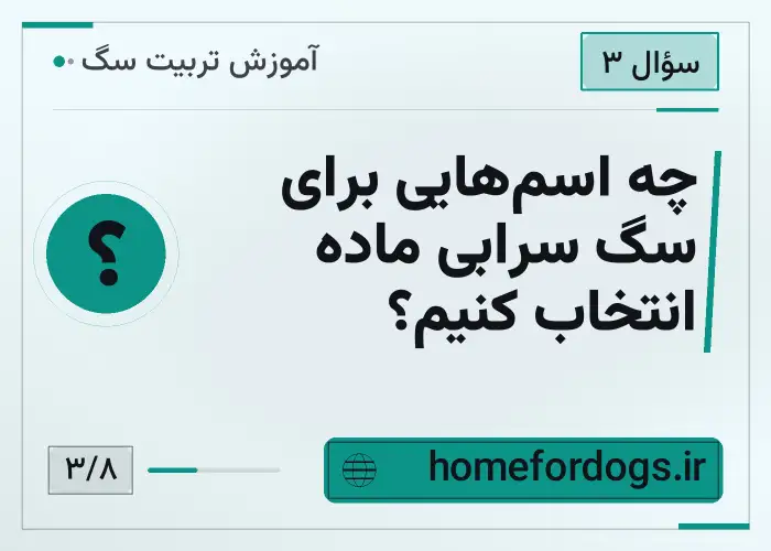 چه اسم‌هایی برای سگ سرابی ماده انتخاب کنیم؟