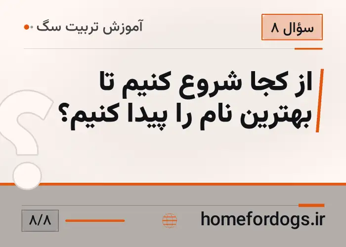 از کجا شروع کنیم تا بهترین نام را پیدا کنیم؟