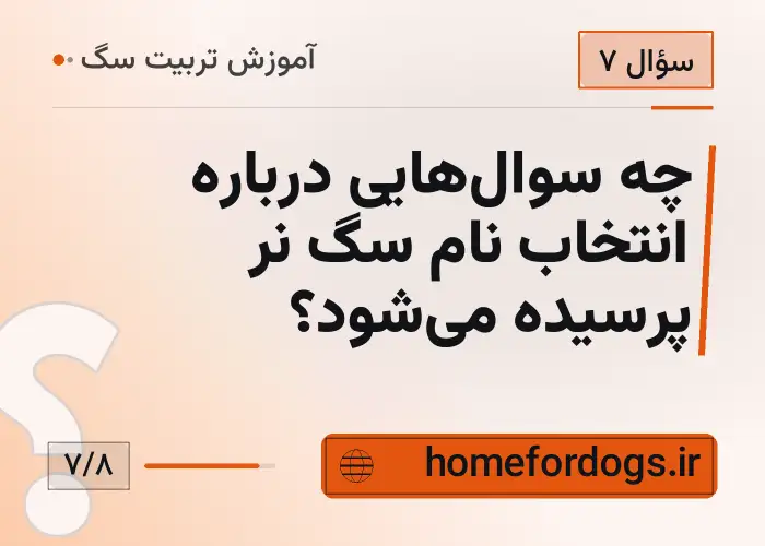 چه سوال‌هایی درباره انتخاب نام سگ نر پرسیده می‌شود؟