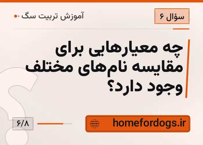 چه معیارهایی برای مقایسه نام‌های مختلف وجود دارد؟