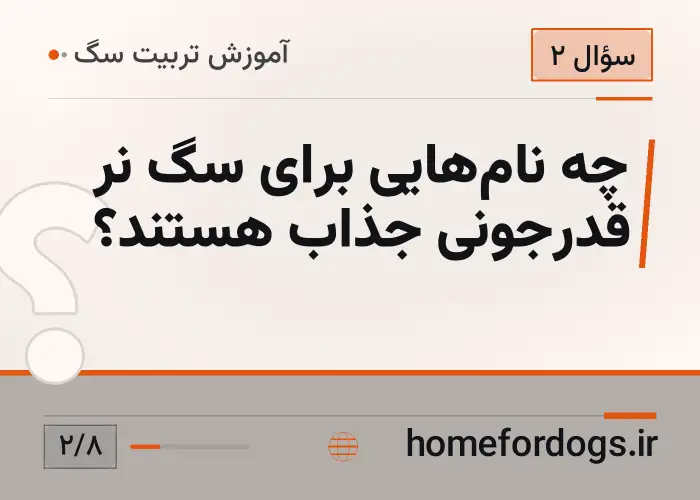 چه نام‌هایی برای سگ نر قدرجونی جذاب هستند؟