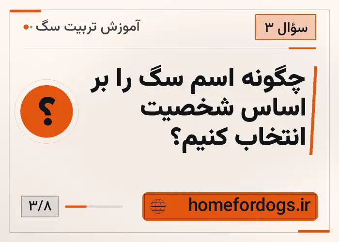 چگونه اسم سگ را بر اساس شخصیت انتخاب کنیم؟