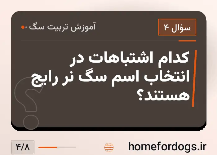 کدام اشتباهات در انتخاب اسم سگ نر رایج هستند؟