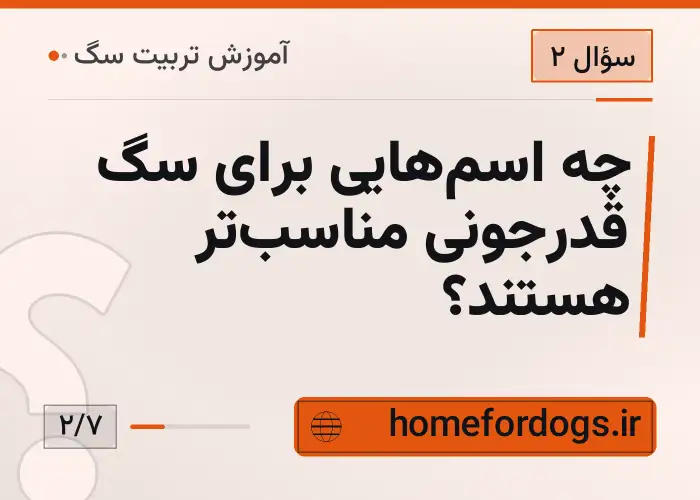 چه اسم‌هایی برای سگ قدرجونی مناسب‌تر هستند؟