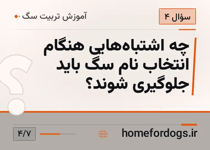چه اشتباه‌هایی هنگام انتخاب نام سگ باید جلوگیری شوند؟