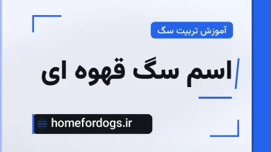 اسم سگ قهوه ای