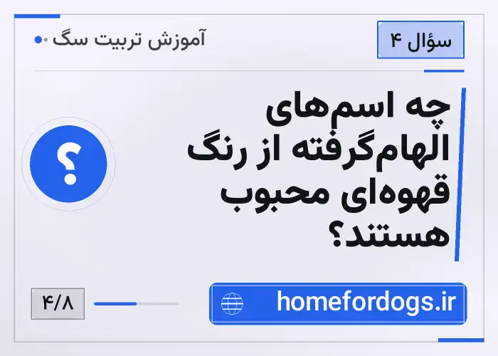 چه اسم‌های الهام‌گرفته از رنگ قهوه‌ای محبوب هستند؟