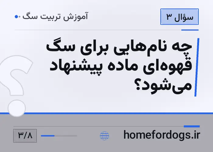 چه نام‌هایی برای سگ قهوه‌ای ماده پیشنهاد می‌شود؟