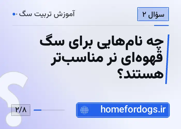 چه نام‌هایی برای سگ قهوه‌ای نر مناسب‌تر هستند؟
