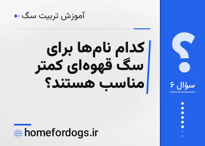 کدام نام‌ها برای سگ قهوه‌ای کمتر مناسب هستند؟