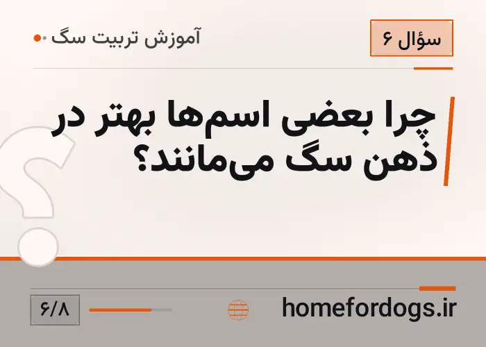 چرا بعضی اسم‌ها بهتر در ذهن سگ می‌مانند؟