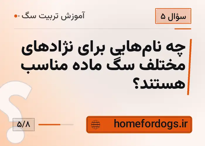 چه نام‌هایی برای نژادهای مختلف سگ ماده مناسب هستند؟