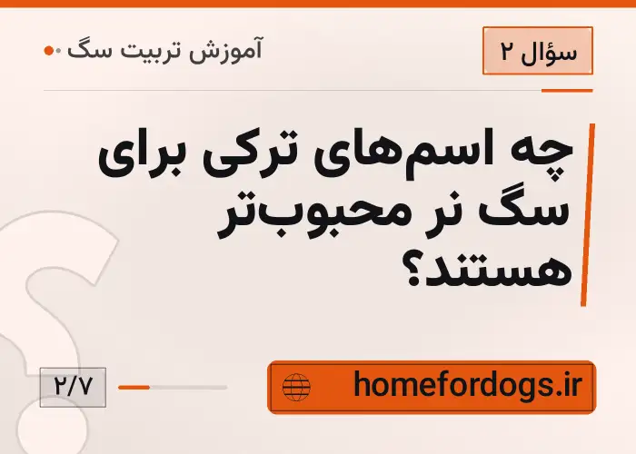 چه اسم‌های ترکی برای سگ نر محبوب‌تر هستند؟