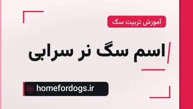 اسم سگ نر سرابی