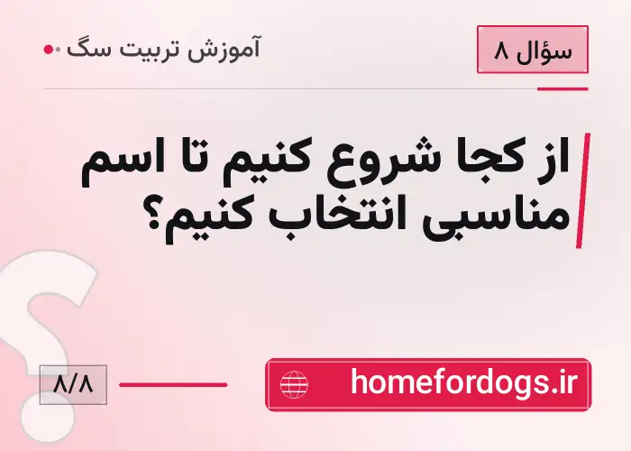 از کجا شروع کنیم تا اسم مناسبی انتخاب کنیم؟