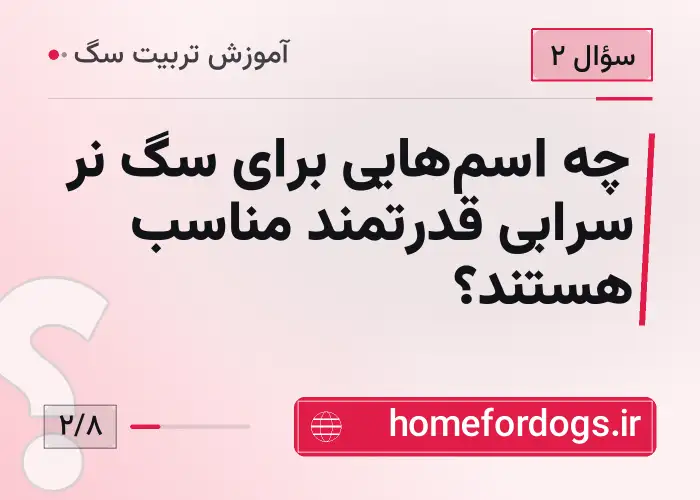 چه اسم‌هایی برای سگ نر سرابی قدرتمند مناسب هستند؟