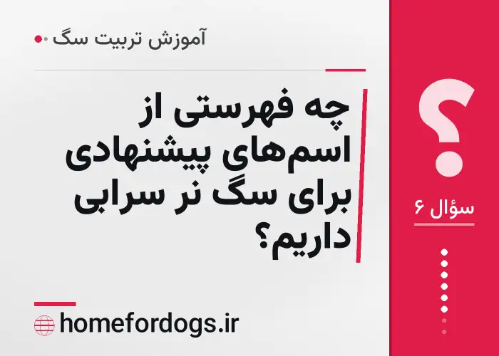 چه فهرستی از اسم‌های پیشنهادی برای سگ نر سرابی داریم؟