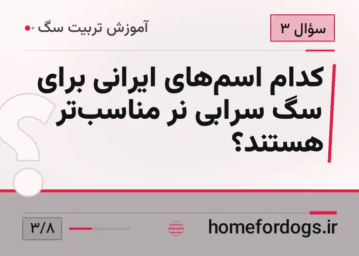 کدام اسم‌های ایرانی برای سگ سرابی نر مناسب‌تر هستند؟