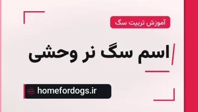اسم سگ نر وحشی