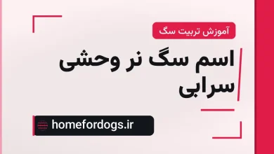 اسم سگ نر وحشی سرابی