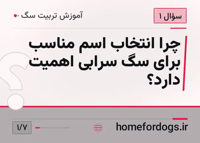 چرا انتخاب اسم مناسب برای سگ سرابی اهمیت دارد؟