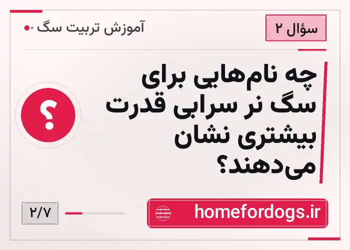 چه نام‌هایی برای سگ نر سرابی قدرت بیشتری نشان می‌دهند؟
