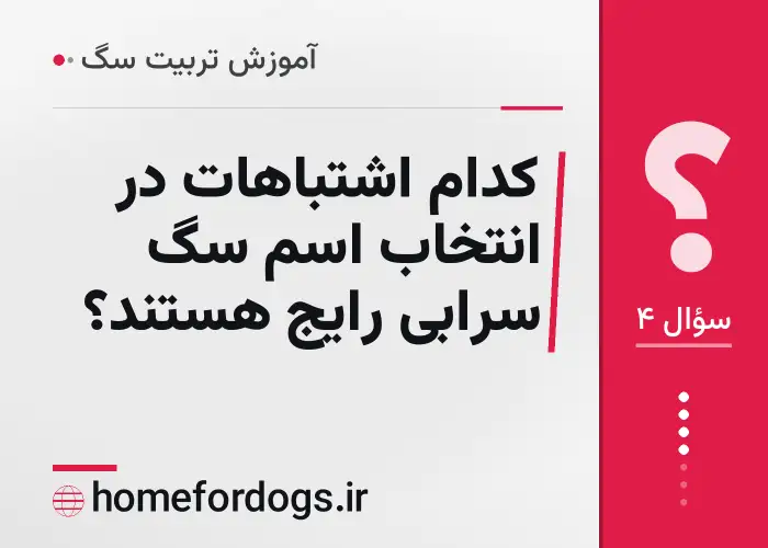 کدام اشتباهات در انتخاب اسم سگ سرابی رایج هستند؟