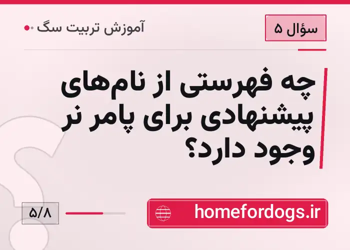 چه فهرستی از نام‌های پیشنهادی برای پامر نر وجود دارد؟