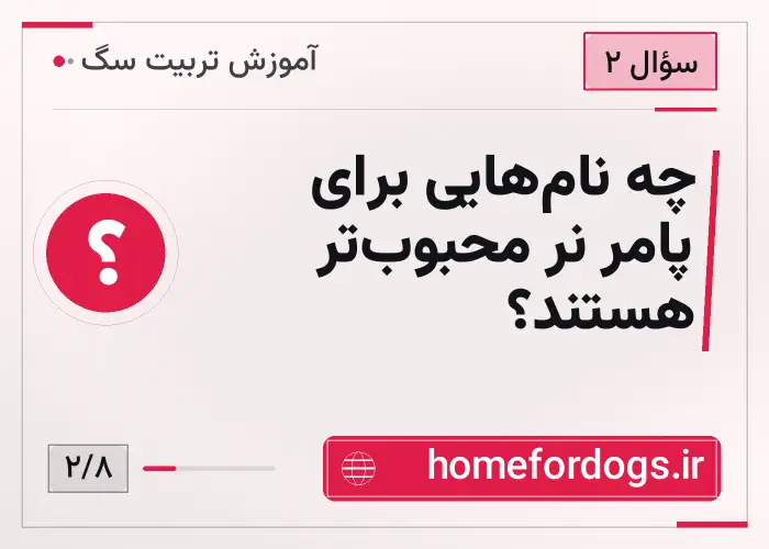 چه نام‌هایی برای پامر نر محبوب‌تر هستند؟